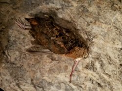 20161001_104325.jpg