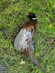 20161005_164827.jpg