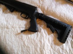 IMG_20160403_153739 SKS.jpg