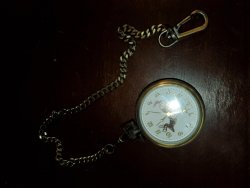 20201030_113202.jpg