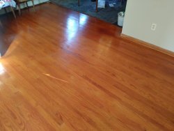 20201009_153656.jpg