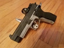 P226cc.jpg