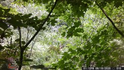 13B5A5E7-A496-41A8-B1D8-687F2E4EDA9B.jpeg