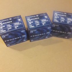 28ga.jpg