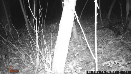 CA0837E5-86E7-4CB9-999C-2838F86BA9A7.jpeg