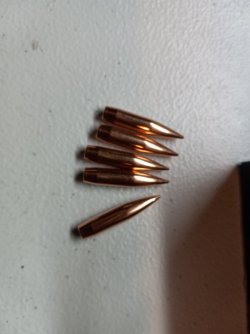 20220222_195511.jpg