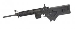 11stag22-660x260.jpg