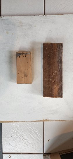 20220728_070347.jpg