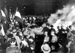 burnbooks350.jpg