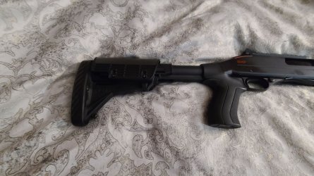 sxp1.jpg
