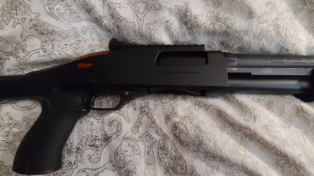 sxp2.jpg