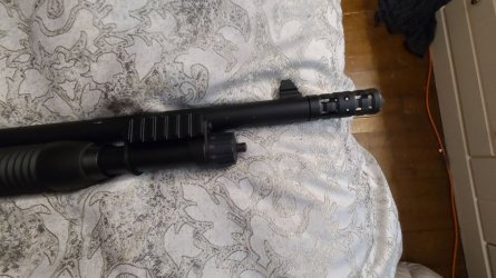 sxp4.jpg