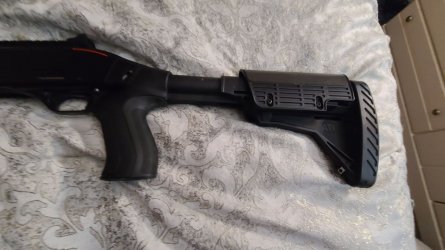 sxp6.jpg