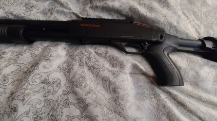 sxp7.jpg