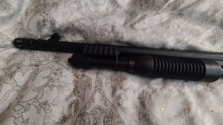 sxp8.jpg