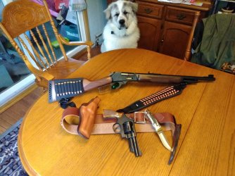 Avalanche and 45-70.jpg