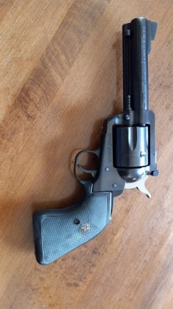 ruger 45.jpg