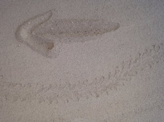 20230603_081441.jpg
