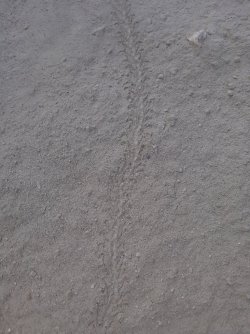 20230603_081647.jpg