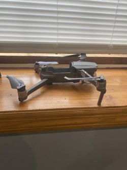 IMG_2893.jpeg