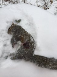 IMG_0228.JPG