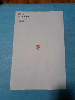 1706161000525349188661553916301.jpg