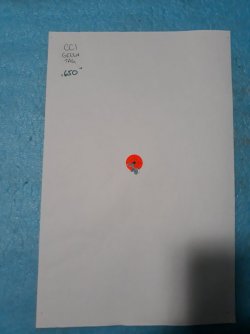 17061610941176857839398640723932.jpg