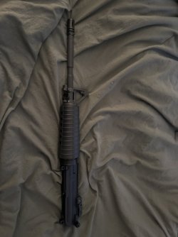 IMG_3754.jpeg