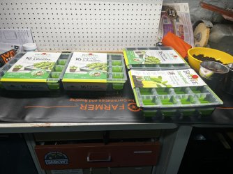 IMG_8610.jpeg