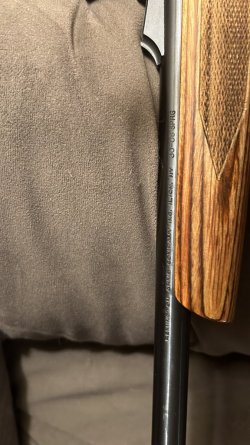 IMG_0984.jpeg