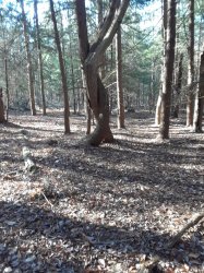 20171130_100100.jpg