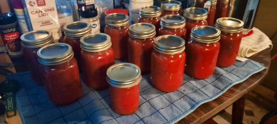 20240726_154935 (1).jpg