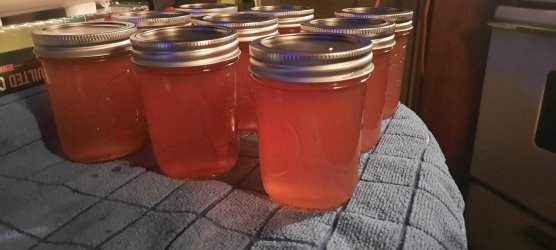 20240802_234455 (1).jpg