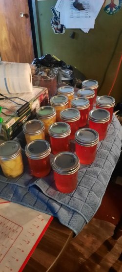 20240808_155100 (1).jpg