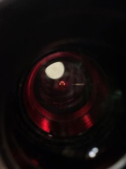 IMG_3790.jpeg