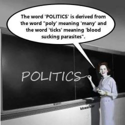poli-ticks.jpg