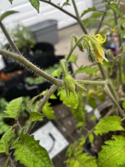 IMG_1369.jpeg