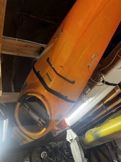 IMG_1167.jpeg