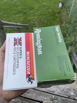 IMG_0940.jpeg