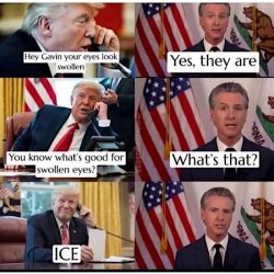 1749900285923.jpeg