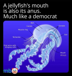 1751320591794.png