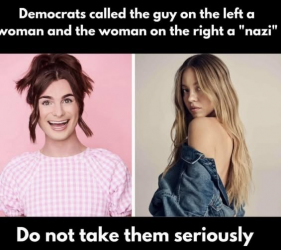 1754129691039.png