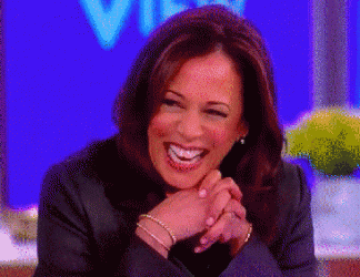 12883562.gif