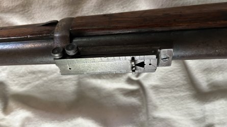 IMG_7511.jpeg
