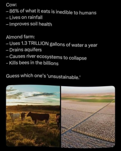 1760198758106.png