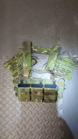arc chest rig with arc placard.jpeg