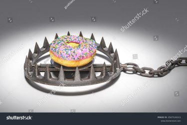 stock-photo-bear-trap-with-donut-as-bait-representing-dangers-sugar-addiction-d-2527124111.jpg