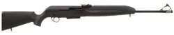 saiga_100.jpg