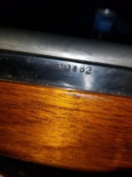 20181022_064339.jpg