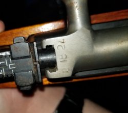 20181022_064518.jpg